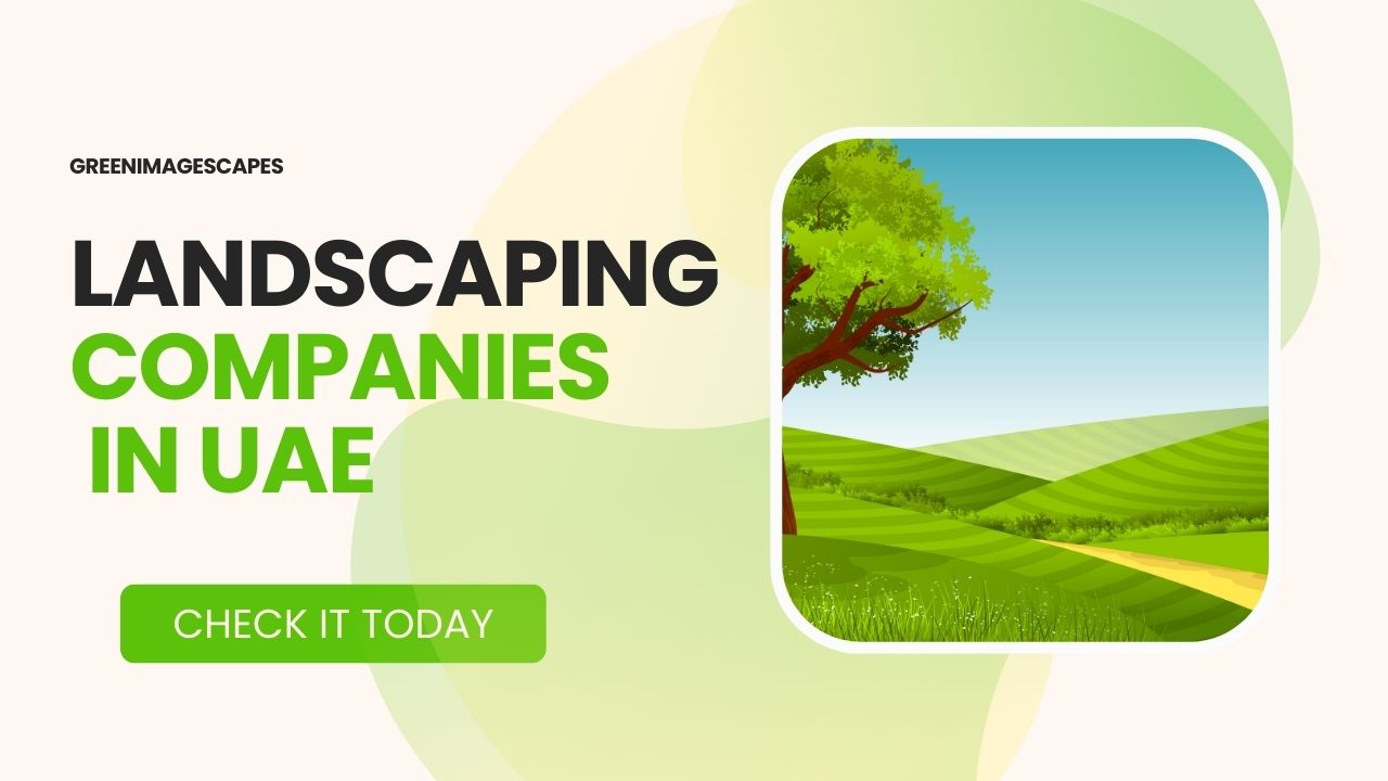 top-7-landscaping-companies-in-uae-check-it-today-green-image