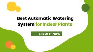 Best Automatic Watering System for Indoor Plants