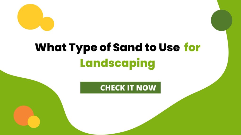 What Type of Sand to Use for Landscaping