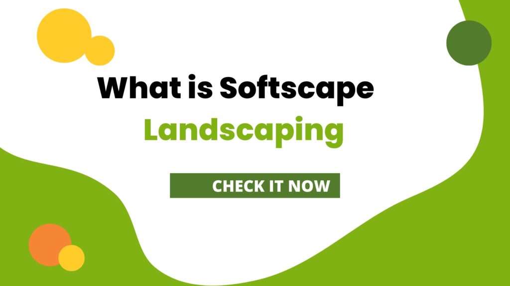 What is Softscape landscaping