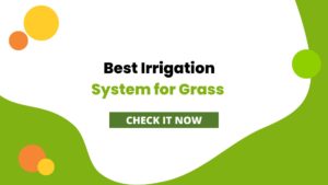 Best Irrigation System for Grass