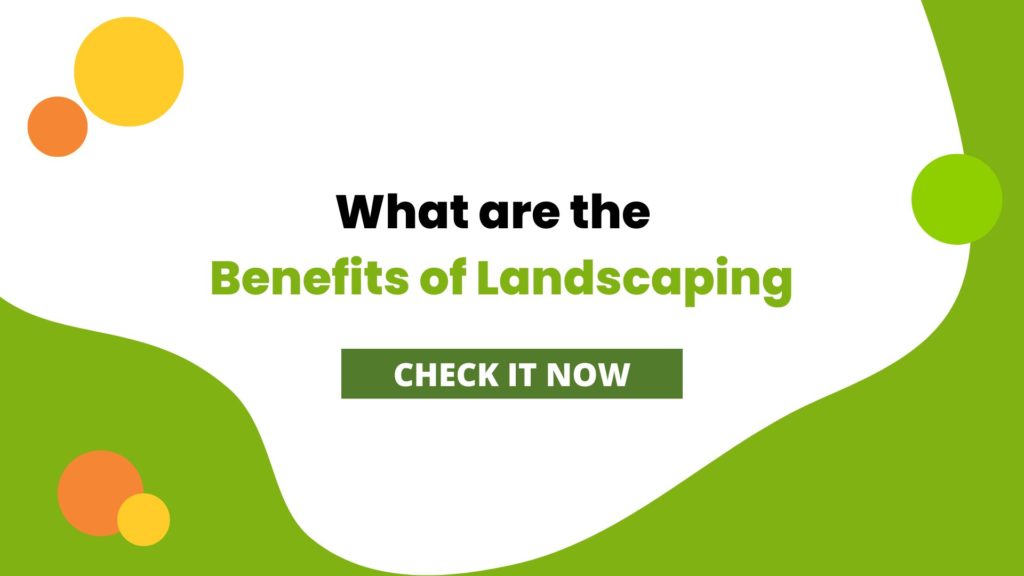 What are the Benefits of Landscaping