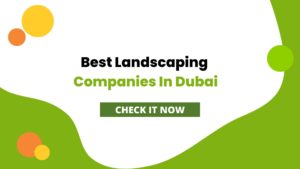 Best Landscaping Companies In Dubai