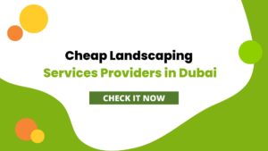 Cheap Landscaping Services Providers in Dubai