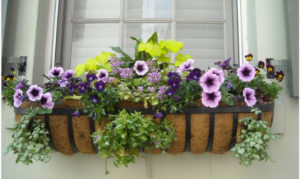 garden window tips