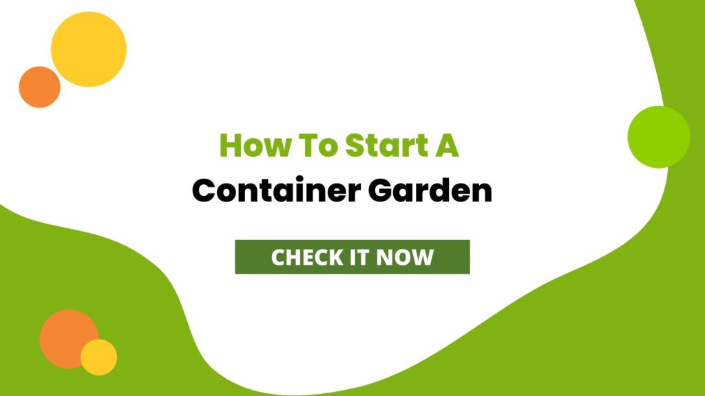 how to start a container garden