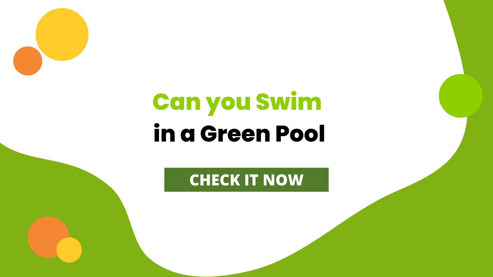 Can You Swim in a Green Pool? Understaning Risk and Causes