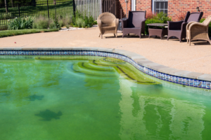 Swim in a Green Pool
