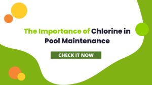 The Importance of Chlorine in Pool Maintenance