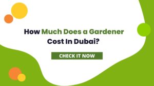 How Much Does a Gardener Cost In Dubai