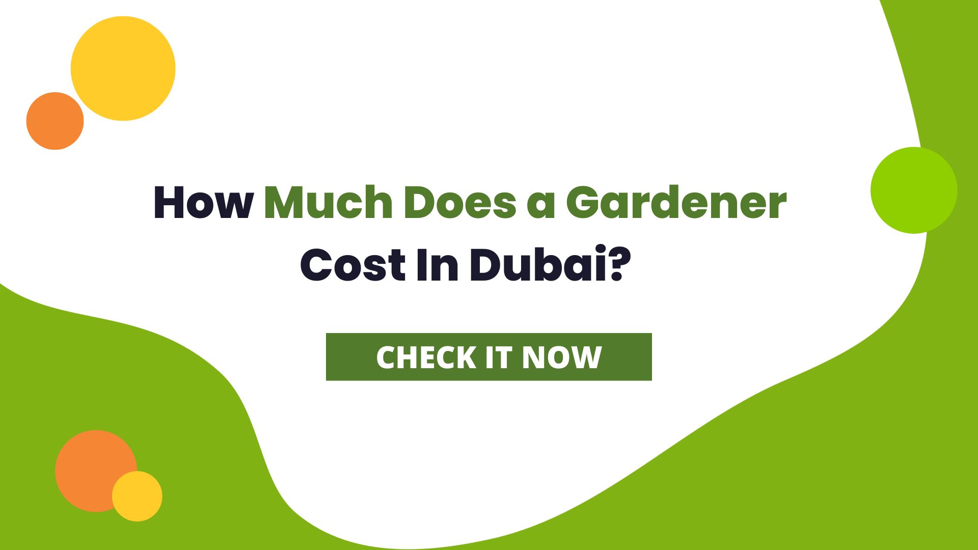 how-much-does-a-gardener-cost-in-dubai-guide-2023