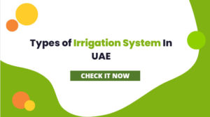 Types of Irrigation System In UAE