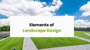 Elements of 
Landscape Design