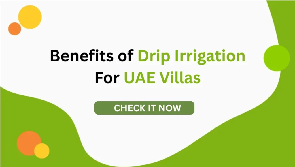 10 Amazing Benefits of Drip Irrigation for UAE Homes